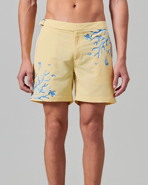 Aquavault Swim Shorts - product photo